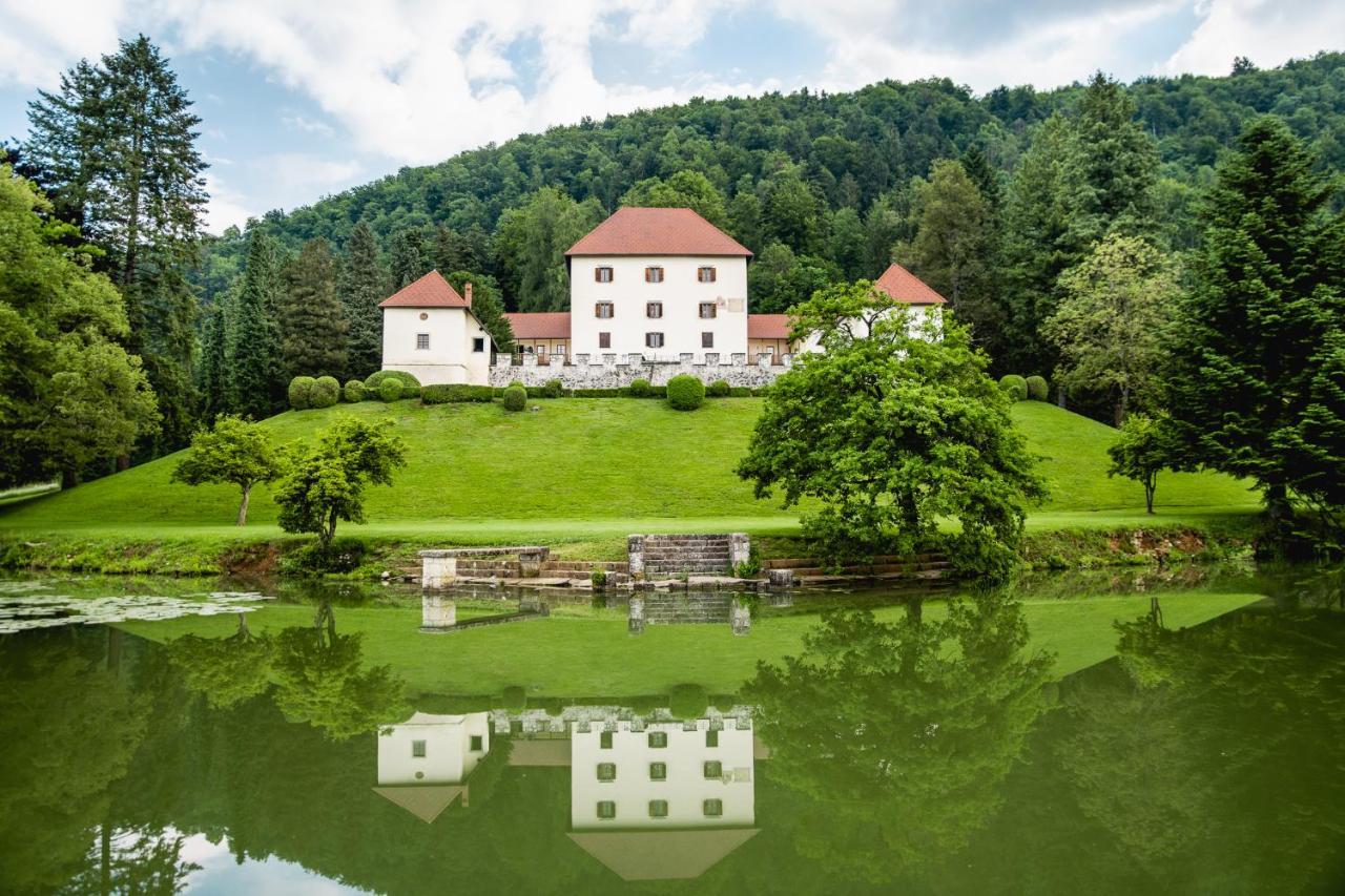 Вілла Grad Strmol Церклє-на-Горенськем Екстер'єр фото
