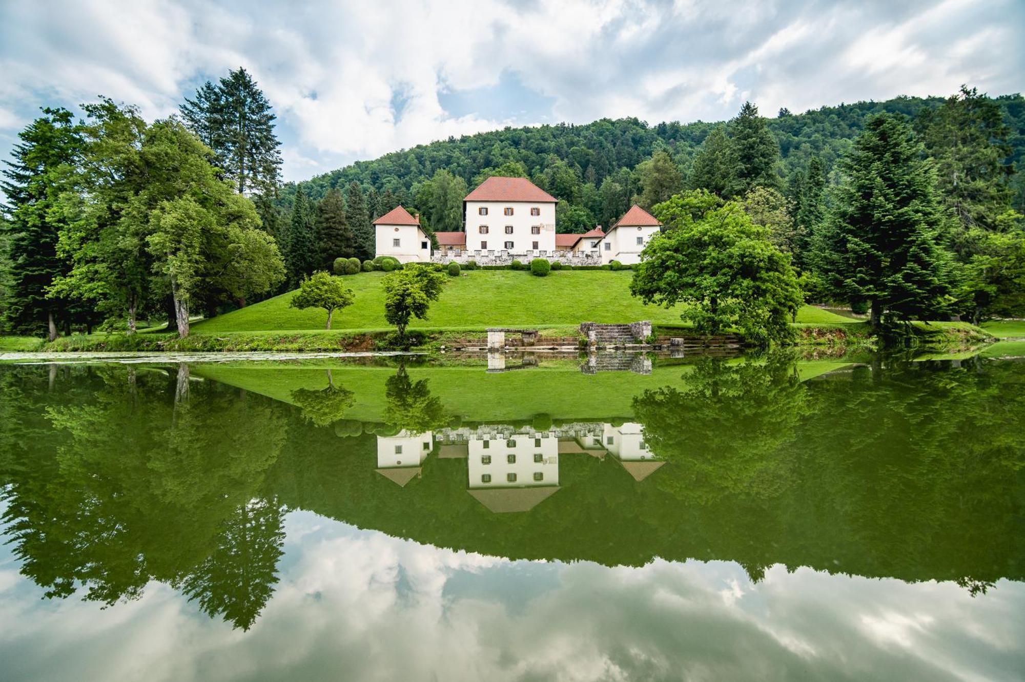 Вілла Grad Strmol Церклє-на-Горенськем Екстер'єр фото